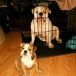 Meet your Posher, Ramiro